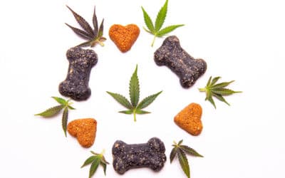 Cannabis-Infused Pet Treats