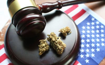 Federal Cannabis News Highlights