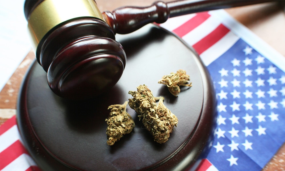 Federal Cannabis News Highlights