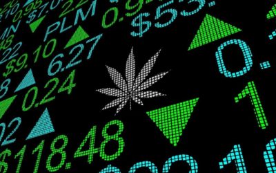 Cannabis Industry News and Current Events