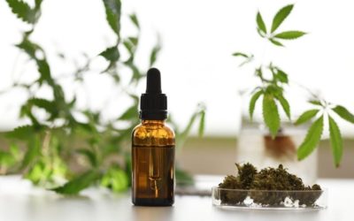 Effects Of CBD You Need To Know About
