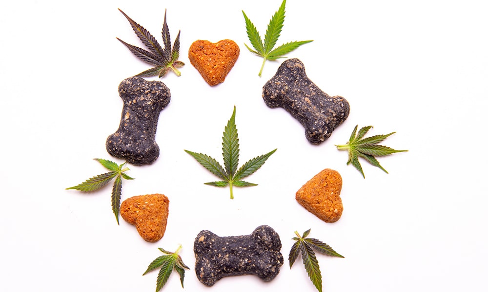 Cannabis-Infused Pet Treats