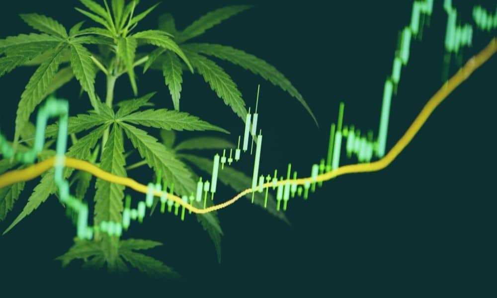 Cannabis Market News