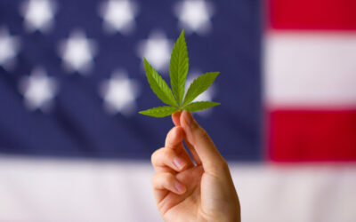 Where Is Weed Legal In The US?